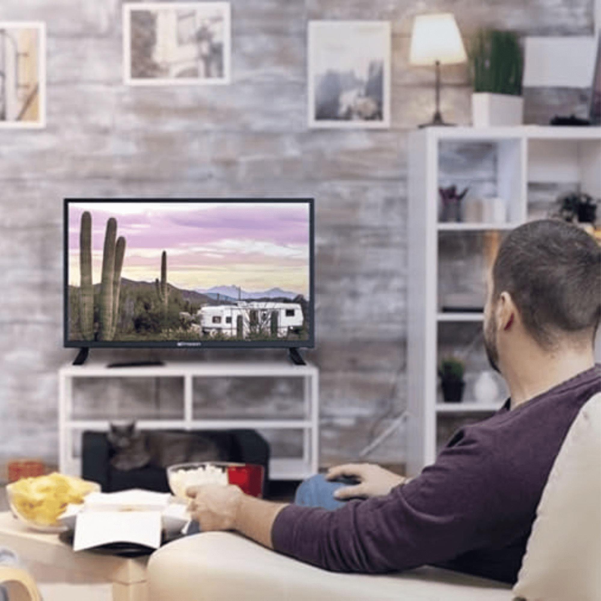 Emerson 24" HD LED TV with Built-in DVD Player – AC/DC 12V, 720p, Wall or Tabletop Mountable - Annabel's